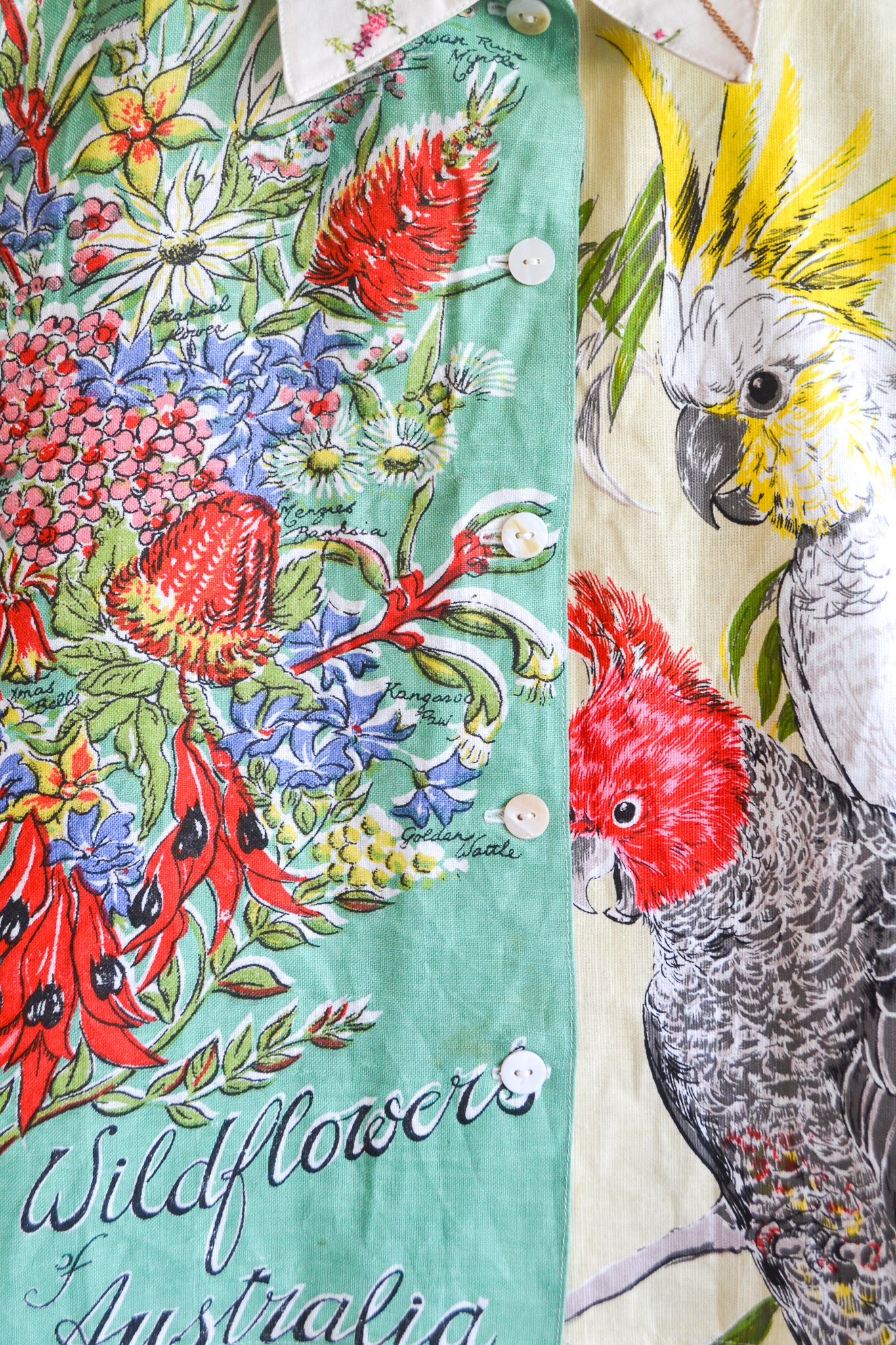 Button Up Shirt | Western Australia | 16