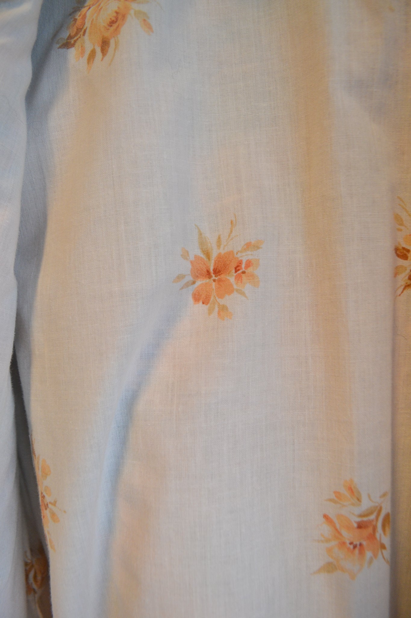 Coat Jacket | Tappy | Large